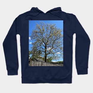 Majestic Old Tree in Springtime Hoodie